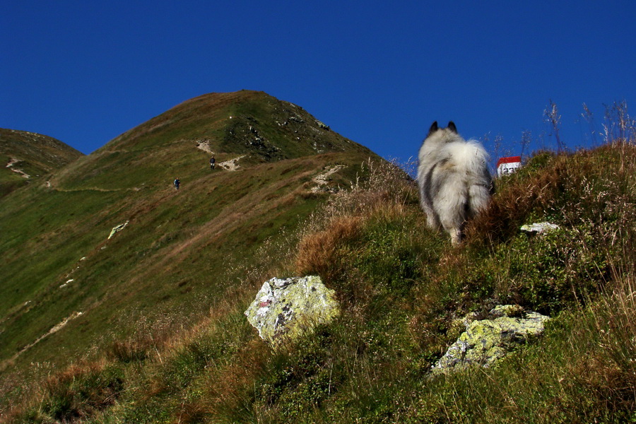 Bystrá z Podbanského (Západné Tatry)