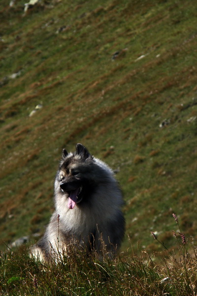 Bystrá z Podbanského (Západné Tatry)