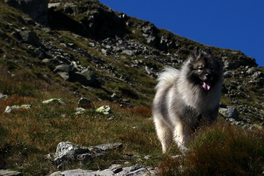 Bystrá z Podbanského (Západné Tatry)