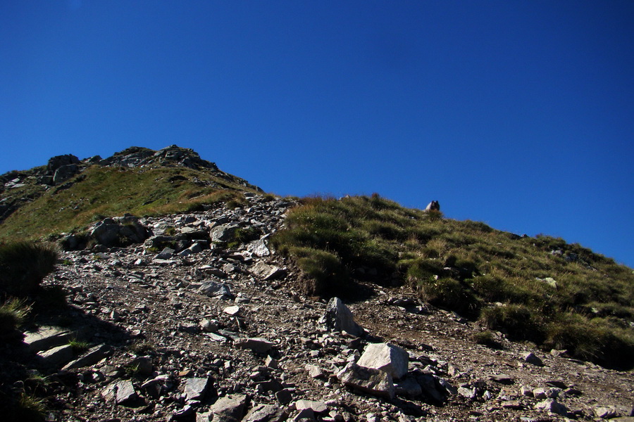 Bystrá z Podbanského (Západné Tatry)