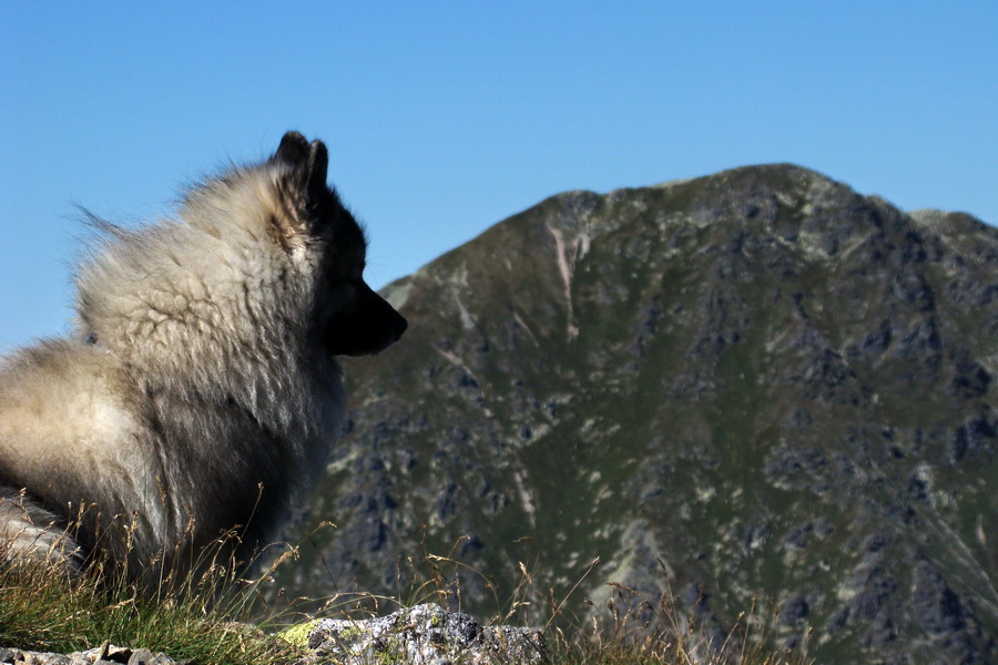 Bystrá z Podbanského (Západné Tatry)