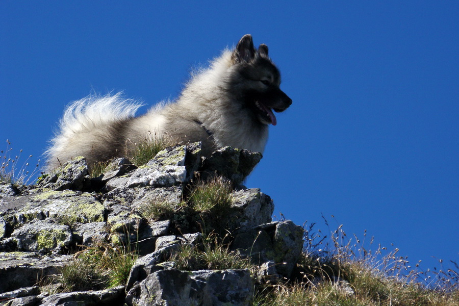 Bystrá z Podbanského (Západné Tatry)