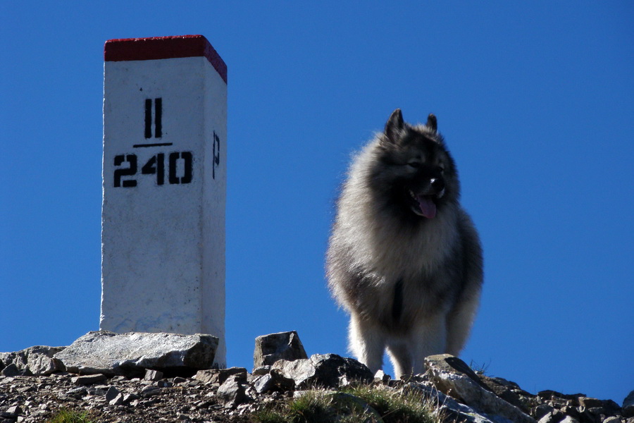 Bystrá z Podbanského (Západné Tatry)