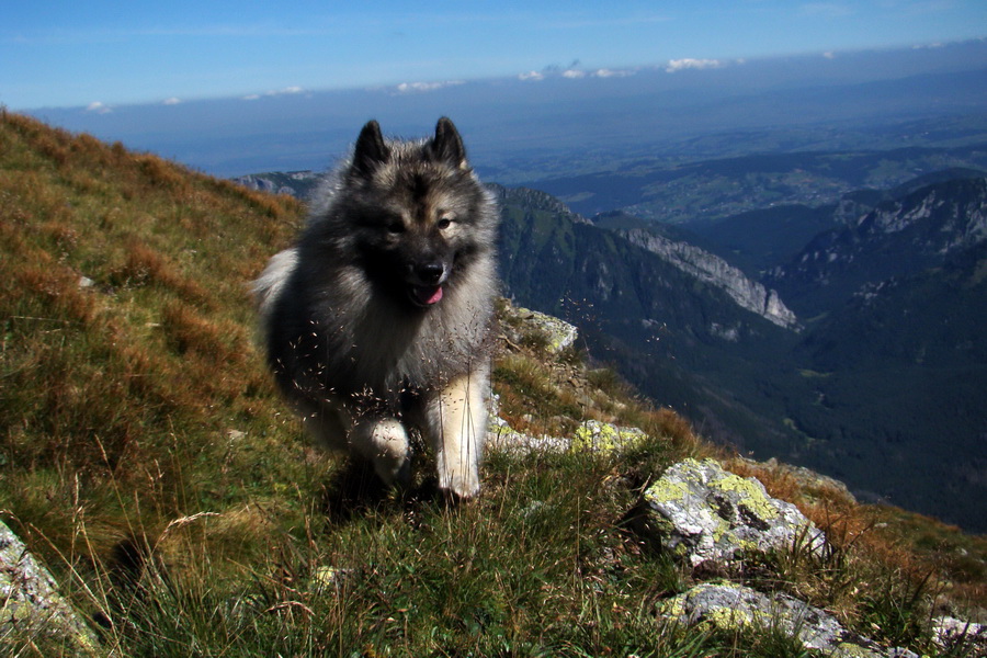 Bystrá z Podbanského (Západné Tatry)