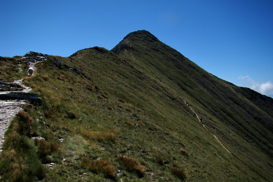 Bystrá z Podbanského (Západné Tatry)