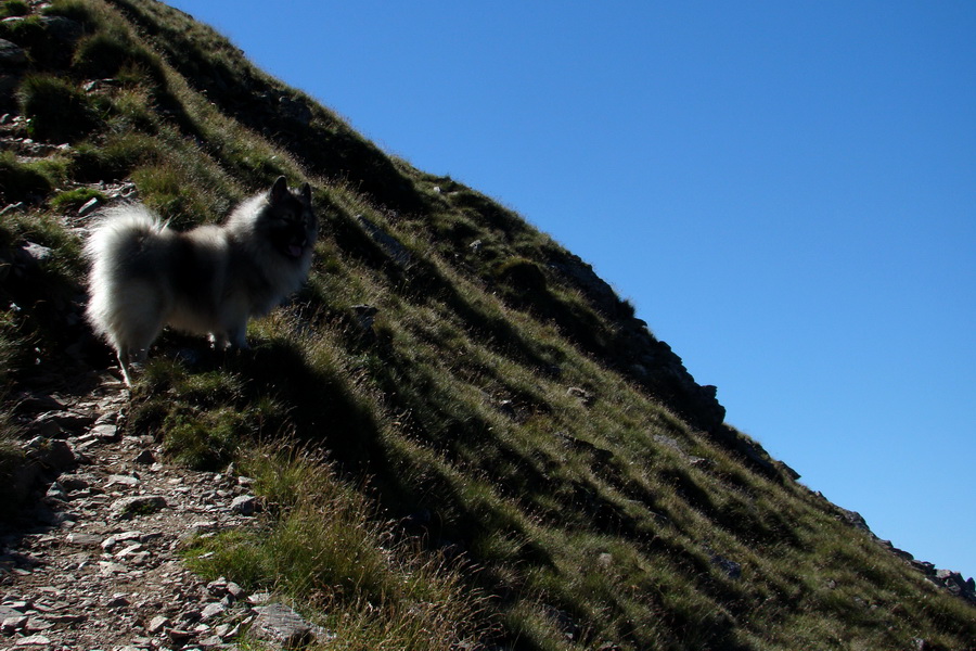 Bystrá z Podbanského (Západné Tatry)