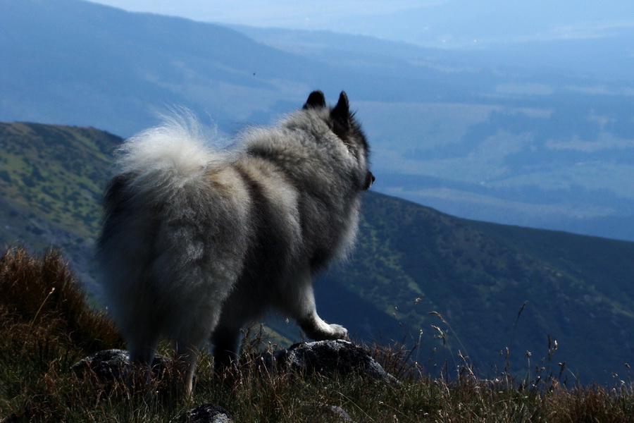 Bystrá z Podbanského (Západné Tatry)