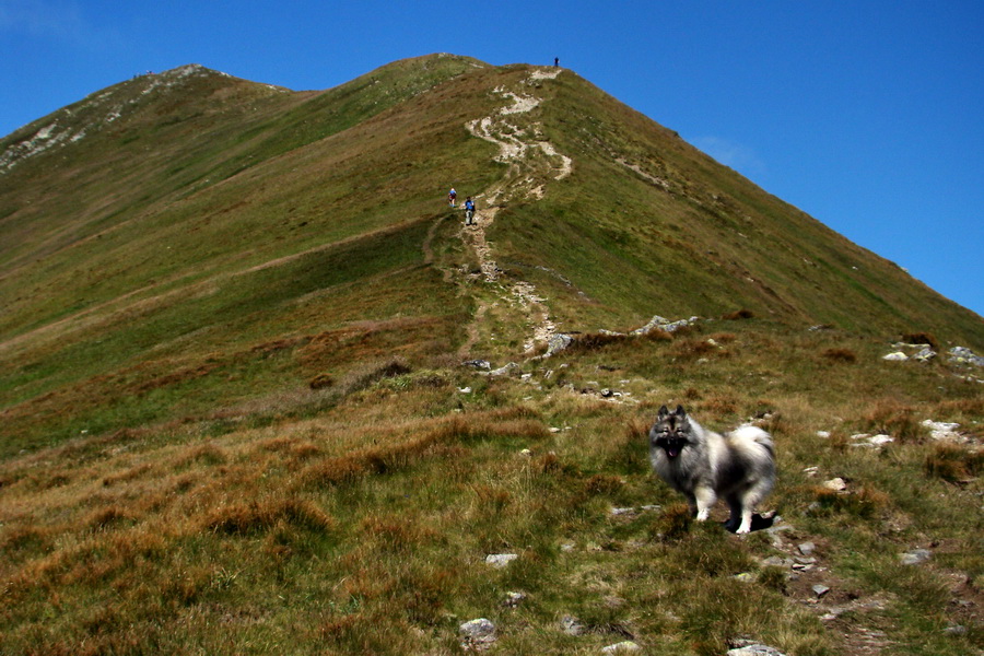 Bystrá z Podbanského (Západné Tatry)