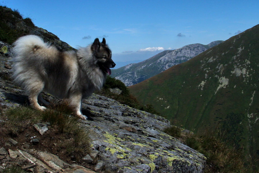 Bystrá z Podbanského (Západné Tatry)