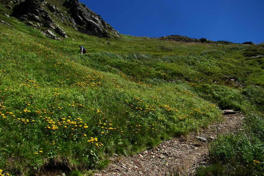 Bystrá z Podbanského (Západné Tatry)