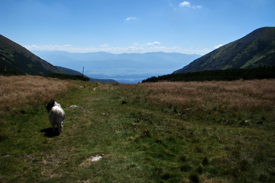 Bystrá z Podbanského (Západné Tatry)