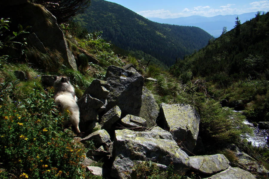 Bystrá z Podbanského (Západné Tatry)