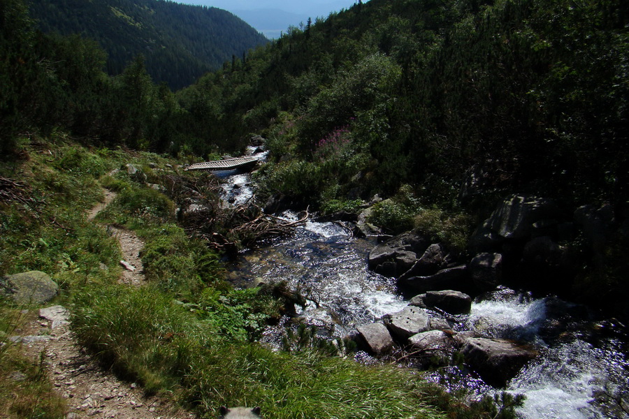 Bystrá z Podbanského (Západné Tatry)