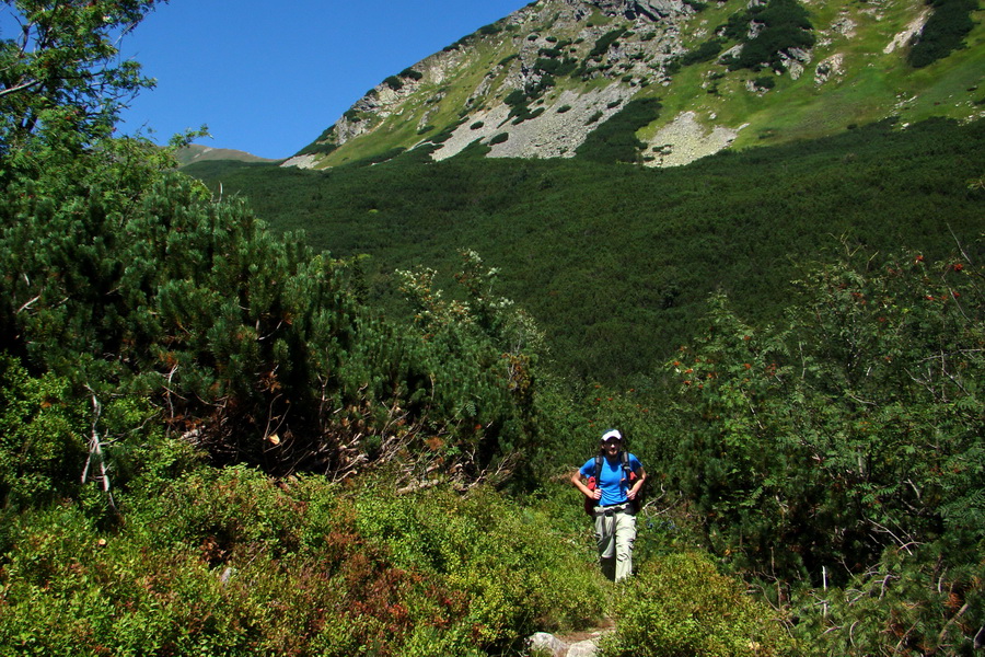 Bystrá z Podbanského (Západné Tatry)