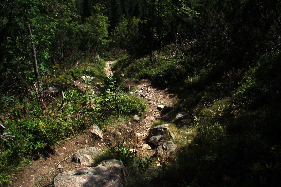 Bystrá z Podbanského (Západné Tatry)