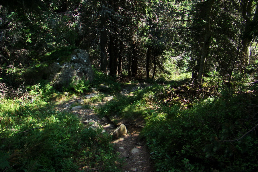 Bystrá z Podbanského (Západné Tatry)