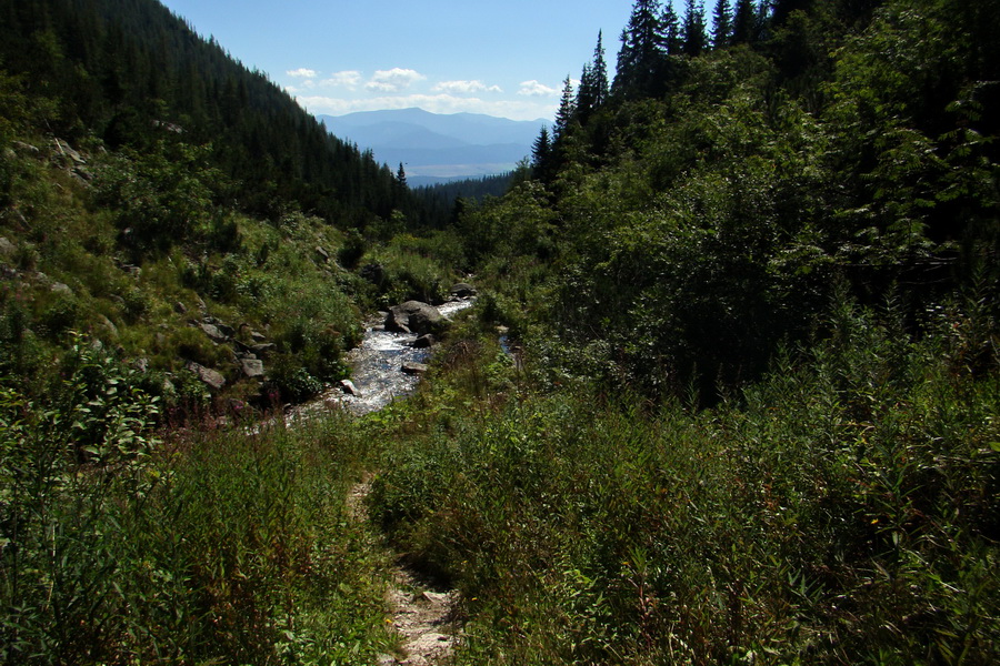 Bystrá z Podbanského (Západné Tatry)