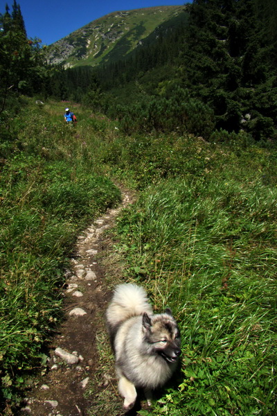 Bystrá z Podbanského (Západné Tatry)