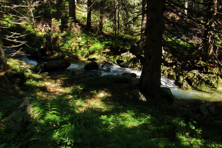 Bystrá z Podbanského (Západné Tatry)