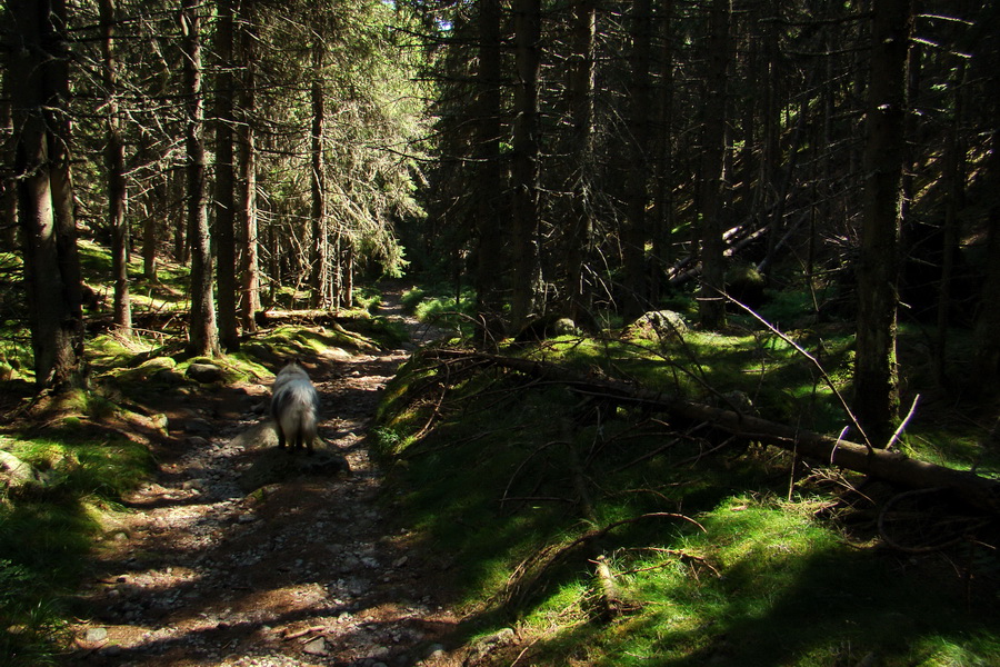 Bystrá z Podbanského (Západné Tatry)