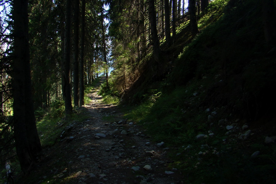 Bystrá z Podbanského (Západné Tatry)