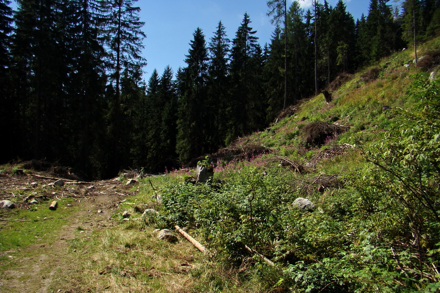 Bystrá z Podbanského (Západné Tatry)