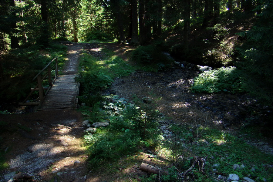 Bystrá z Podbanského (Západné Tatry)