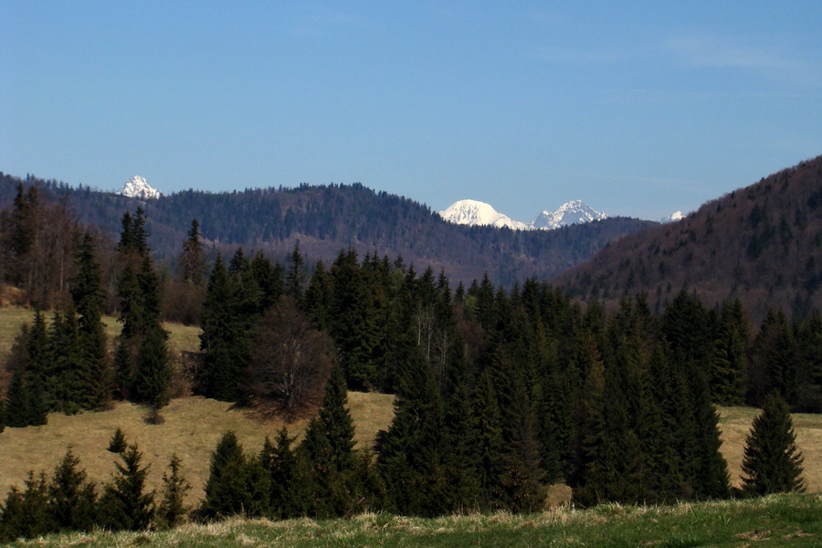 Dedinky - Košice 1 deň (Volovské vrchy)