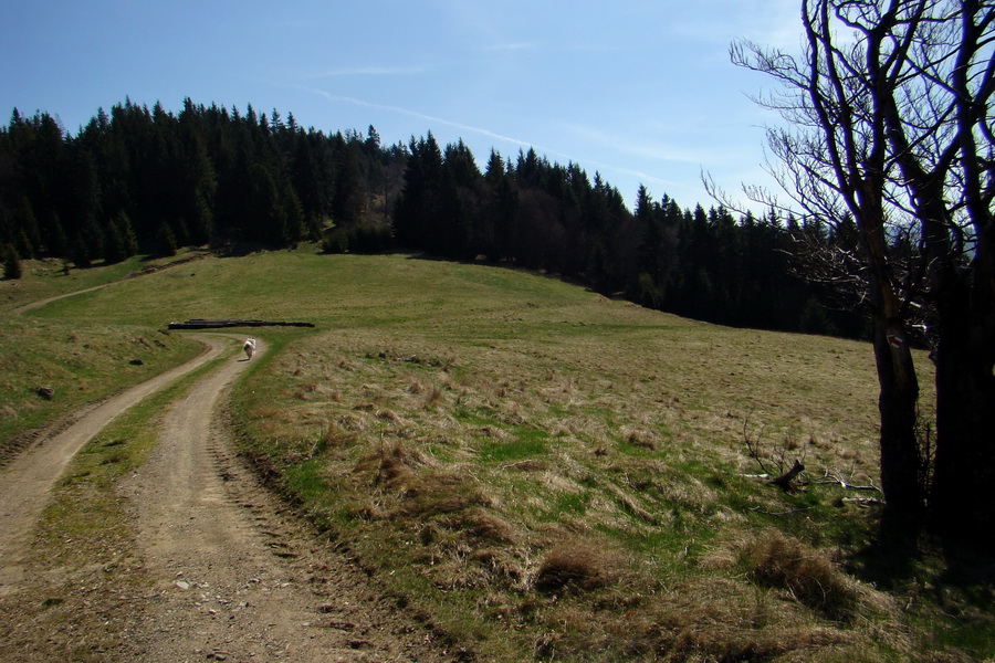 Dedinky - Košice 1 deň (Volovské vrchy)