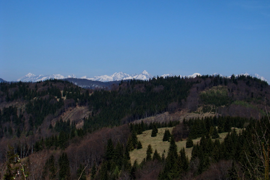 Dedinky - Košice 1 deň (Volovské vrchy)