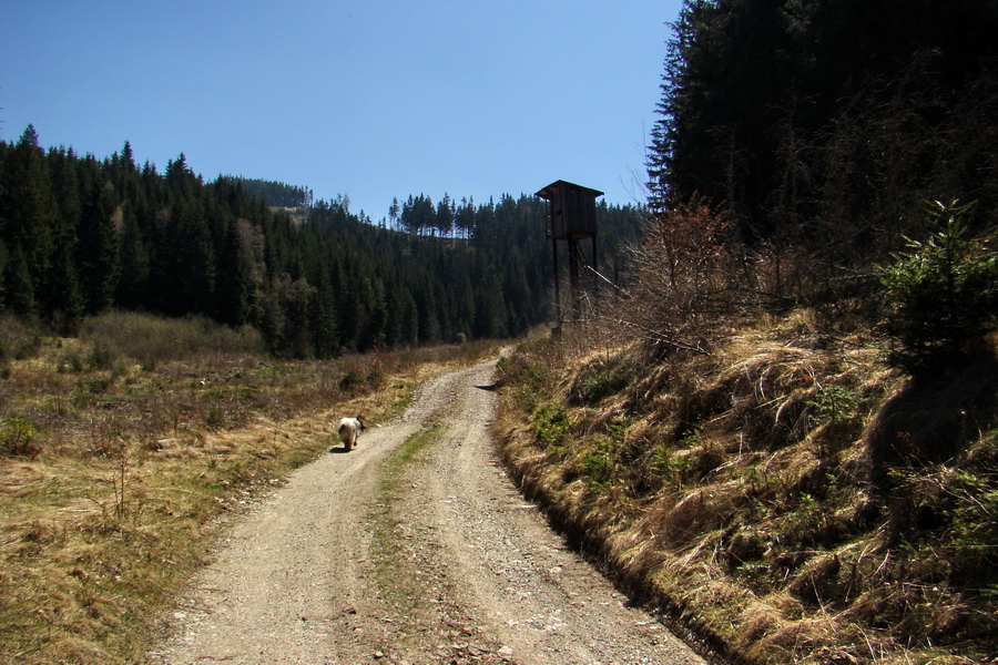 Dedinky - Košice 1 deň (Volovské vrchy)