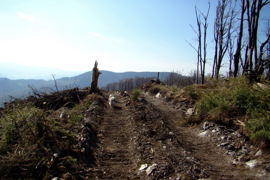 Dedinky - Košice 1 deň (Volovské vrchy)