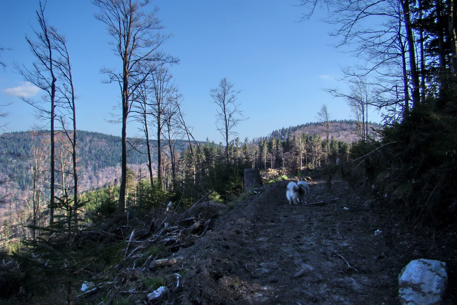 Dedinky - Košice 1 deň (Volovské vrchy)