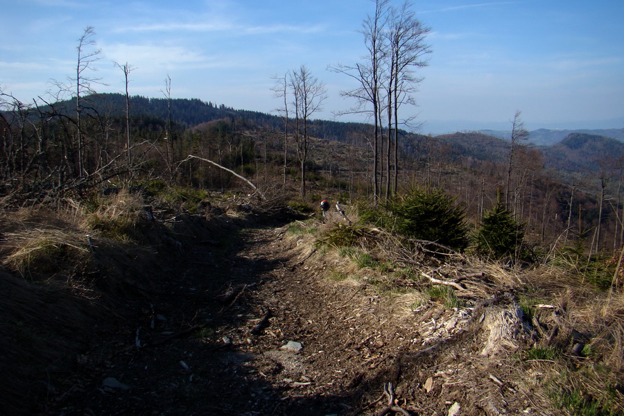 Dedinky - Košice 1 deň (Volovské vrchy)