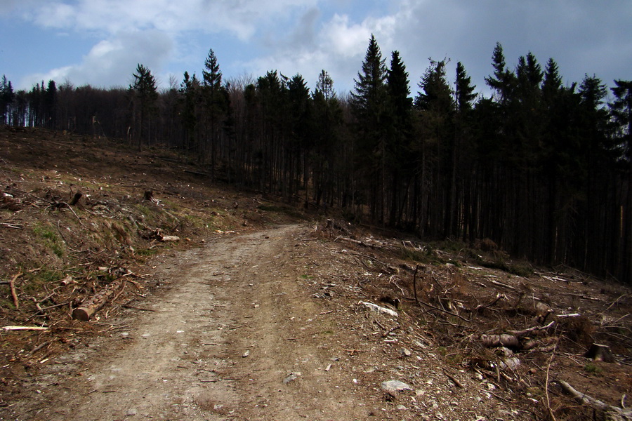 Dedinky - Košice 3 deň (Volovské vrchy)