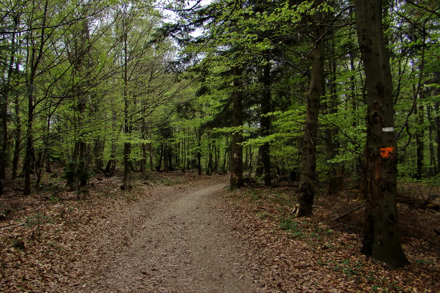 Dedinky - Košice 3 deň (Volovské vrchy)