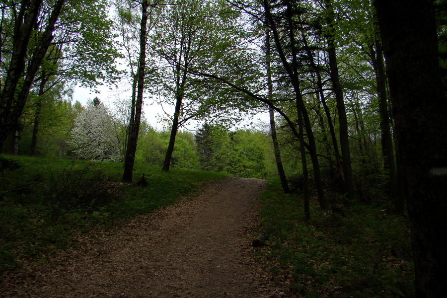 Dedinky - Košice 3 deň (Volovské vrchy)