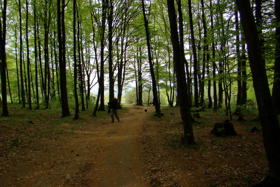 Dedinky - Košice 3 deň (Volovské vrchy)