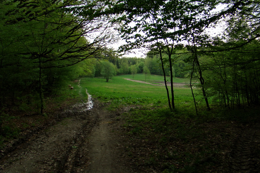 Dedinky - Košice 3 deň (Volovské vrchy)