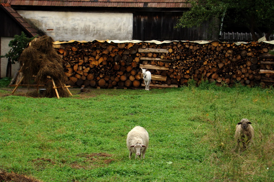 Ďumbier z Jánskej doliny (Nízke Tatry)