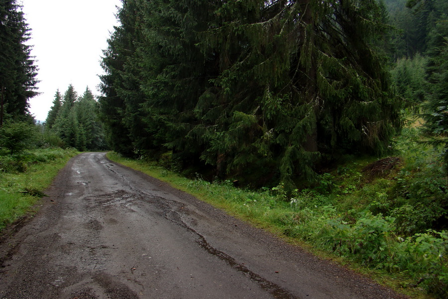 Ďumbier z Jánskej doliny (Nízke Tatry)