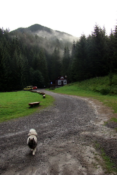 Ďumbier z Jánskej doliny (Nízke Tatry)