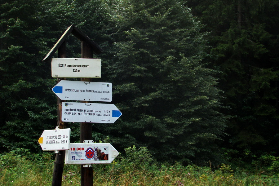 Ďumbier z Jánskej doliny (Nízke Tatry)