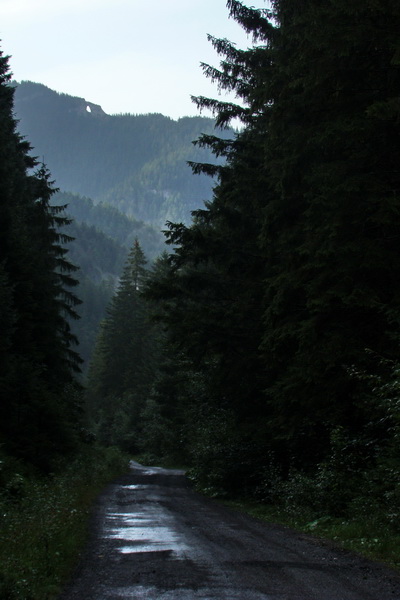 Ďumbier z Jánskej doliny (Nízke Tatry)