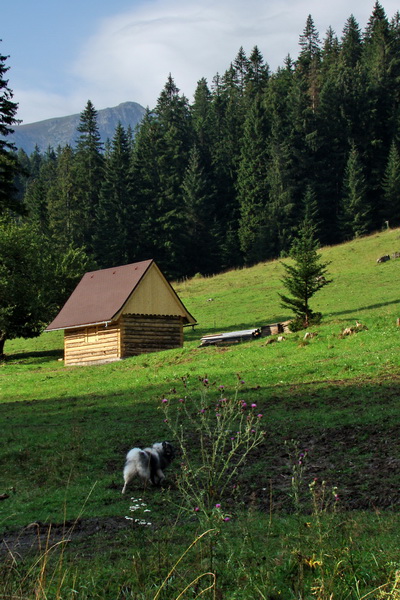 Ďumbier z Jánskej doliny (Nízke Tatry)