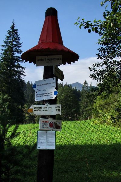 Ďumbier z Jánskej doliny (Nízke Tatry)