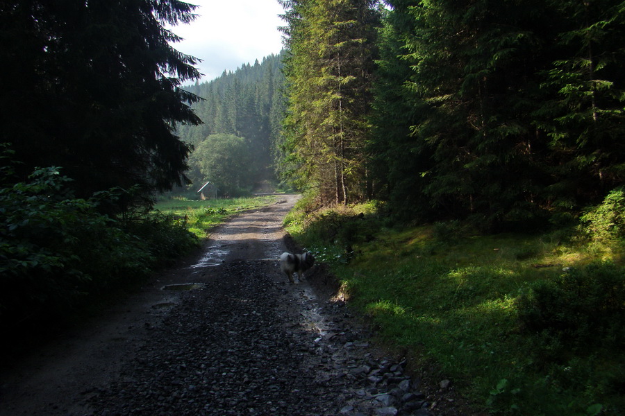 Ďumbier z Jánskej doliny (Nízke Tatry)