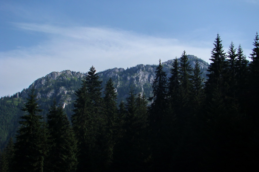 Ďumbier z Jánskej doliny (Nízke Tatry)