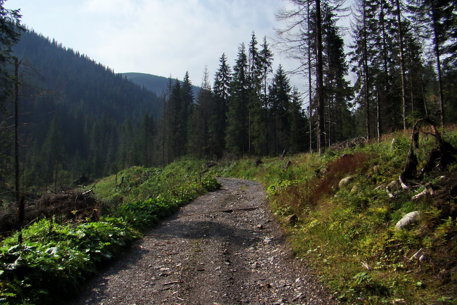 Ďumbier z Jánskej doliny (Nízke Tatry)