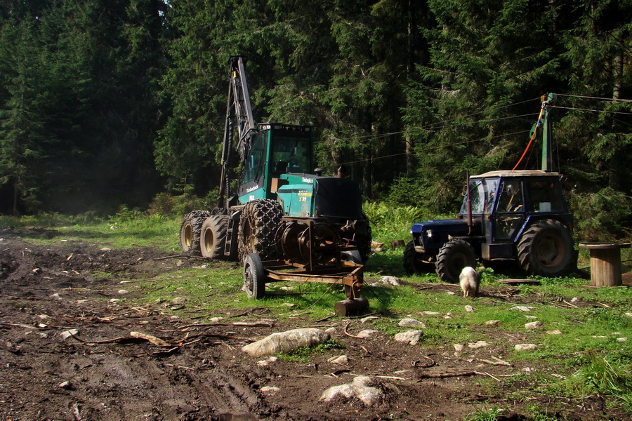 Ďumbier z Jánskej doliny (Nízke Tatry)